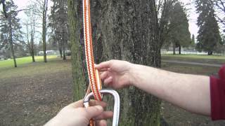 How to tie the Anchor hitch  Arborist knot tying [upl. by Alveta604]