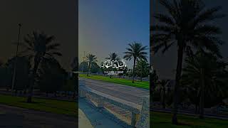 quran Mashallah payari awaz Ma talayat🌹🥰youtubeshortsviral watchsubscribetrendingshortvideo [upl. by Lorrimer]