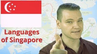 SINGAPORE and its Languages [upl. by Aicirtam]