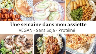 14 idées repas VEGAN  Sans soja et Riche en Protéines [upl. by Arlette]