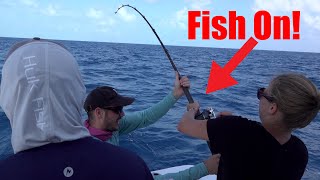 Live Bait fishing over Islamorada Wrecks Catch Clean Cook [upl. by Darsey133]