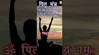 Pitra Mantra I पितृ दोष दूर करने के लिये करें इन मंत्रों का जाप I पितृ मंत्र I shorts shortsfeed [upl. by Zumstein]