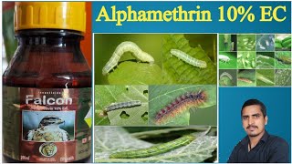 alphamethrin 10 ec uses in hindialphamethrin 10 ecalphamethrin 10 ec tamil [upl. by Toney]