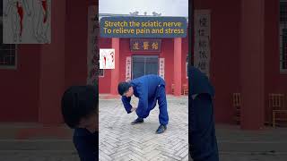 Stretch the sciatic nerve to relieve pain and stress taichi health kungfu taichiforhealth [upl. by Etterb10]