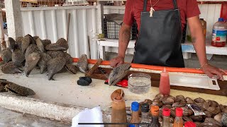 Callos de acha en bahía Kino sonora que rico sabor [upl. by Gisele]