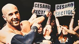 Was WWE mit Cesaro tun sollte [upl. by Aivatnwahs]