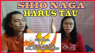 SHIO NAGA HARUS TAU TERNYATA BRGINI KARAKTER DAN KEPRIBADIAN SHIO NAGA [upl. by Jarek]