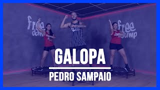 Galopa  Pedro Sampaio  Coreografia Free Jump  borapular [upl. by Llen]