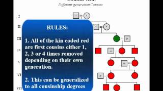 Kinship Relationships Identification and Classification [upl. by Ekihc]