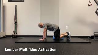 Lumbar Multifidus Activation [upl. by Nefets]