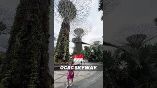 Gardens By the Bay Garndens by the bay Singapore marinabaysingapore singaporevlog singaporetravel [upl. by Kanal]