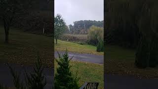 Morning rain oct 7th 2024 [upl. by Nivahb286]