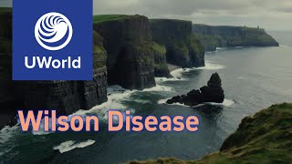 Wilson Disease vs Hemochromatosis vs Porphyria UWorld Notes USMLE USMLE Step 1 [upl. by Erasaec332]