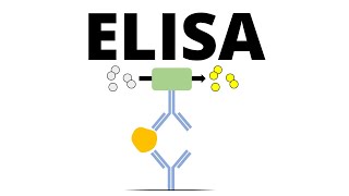 ELISA Enzymelinked Immunosorbent Assay [upl. by Nytsrik]