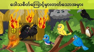 ဒေါသစိတ်ကြောင့်မှားတတ်သောအမှားကာတွန်းကားများ မြန်မာကာတွန်း ငှက်ကာတွန်းကာတွန်းပုံပြင် [upl. by Ixel]