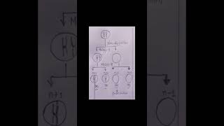 Nondisjuction  Meiosis [upl. by Cartie]