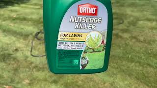 Effective Nutsedge Control How to Remove Nutsedge from Your Lawn [upl. by Laemsi]