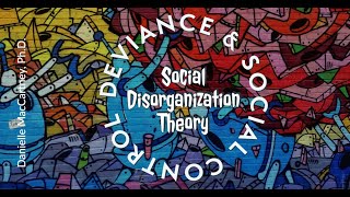 Social Disorganization Theory [upl. by Einohtna]