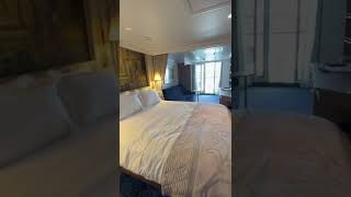 Disney Wish Deluxe Family Ocean View with Veranda Stateroom Tour [upl. by Ruttger]