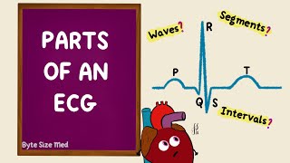 Parts of an ECG  EKG Basics  Waves Segments Intervals  Cardiac Physiology [upl. by Sells]