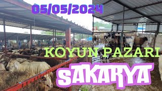 SAKARYA koyun 🐑 pazarı 05052024 [upl. by Niuqauj]