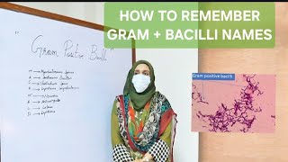 Menmonic to remember gram  bacilli names [upl. by Cleodell883]