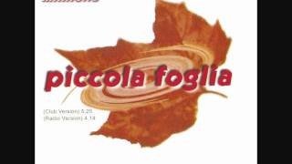 Piccola foglia  Salva Minnella club vers [upl. by Arundell]