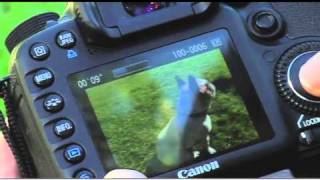 How to Shoot Slow Motion Video with the Canon EOS 7D [upl. by Elenahc605]