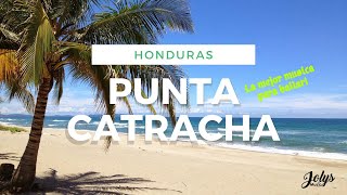 MUSICA PUNTA HONDURAS  🥳 MÚSICA PUNTA CATRACHA PARA BAILAR [upl. by Ez198]