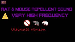 ⚠️Ultimate Version 🚫🐀🐁 Rat amp Mouse Repellent Sound Very High Frequency 3 Hour [upl. by Llerraj]