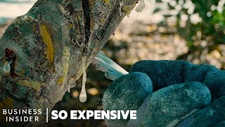 Why Mastic Tree Resin Is So Expensive  So Expensive [upl. by Landrum]