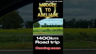 Mudgee to AdelaideRoad trip1400km [upl. by Akenot]