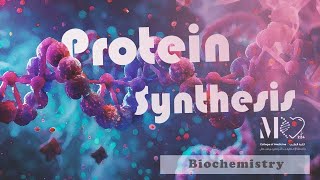 Biochemistry  Protein Synthesis quot Translationquot [upl. by Aleece]