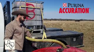 7 Benefits of Purina Accuration Liquid Feed [upl. by Prader]