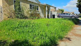 Homeowner Cannot BELIEVE I Told Her THIS About Her OVERGROWN Yard [upl. by Yahsat]