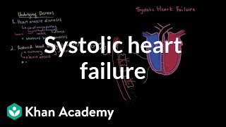 Systolic heart failure pathophysiology  Circulatory System and Disease  NCLEXRN  Khan Academy [upl. by Lelah]