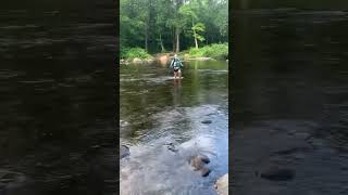 Early morning fording Appalachian Trail thru Hike 2024 shorts hiking appalachianmountains [upl. by Lerat]