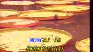 Sabahan Song Mansau Ansau [upl. by Dwight635]