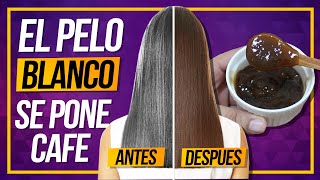 El mejor TINTE Para Tapar Las Canas El Pelo Blanco Se Pone Cafe Muy Rapido [upl. by Amhser]