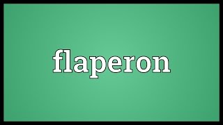 Flaperon Meaning [upl. by Hudnut647]