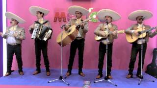 乾杯 長渕剛 Mariachi Agave Mexico [upl. by Damick]