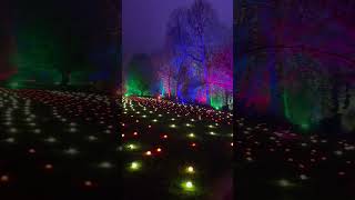 Christmas Lights At Eltham Palace [upl. by Esorbma2]