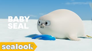 Teeny Tiny Tough Baby Seal  Baby Seal Special  SEALOOK  Episodes Compilation [upl. by Ayot163]