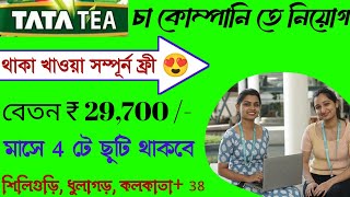 মাসে 29000 টাকা  প্যাকিং কাজ  Tata tea job vacancy 2024  High Salary job kolkata [upl. by Skippie922]