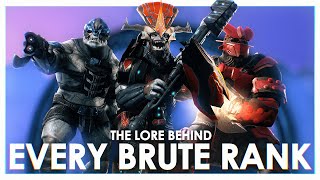 The Lore Behind ALL of the Brute Ranks and Armor  Halo [upl. by Yzmar]