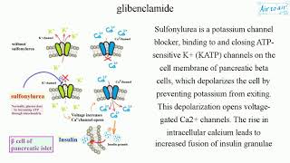 glibenclamide [upl. by Weston620]