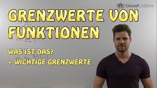 Grenzwerte von Funktionen Was ist das  Wichtige Grenzwerte [upl. by Arreic]