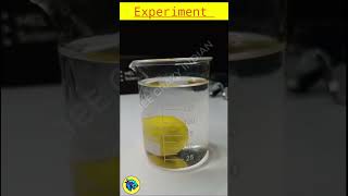 Normal Water And Salt Water Lemon Reaction Experiment shorts experiments scienceexperiment [upl. by Euqnom766]