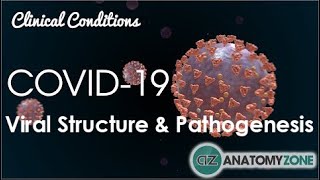 Coronavirus COVID19  Viral Structure amp Pathogenesis [upl. by Arianie]