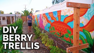 How To Build A Raspberry Trellis  Keep Your Berries Producing For YEARS [upl. by Manolo816]